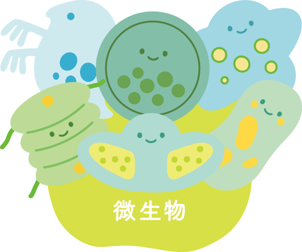 微生物